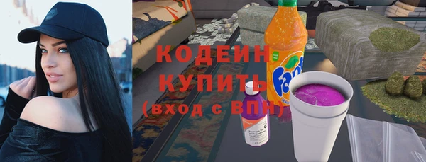 индика Богданович