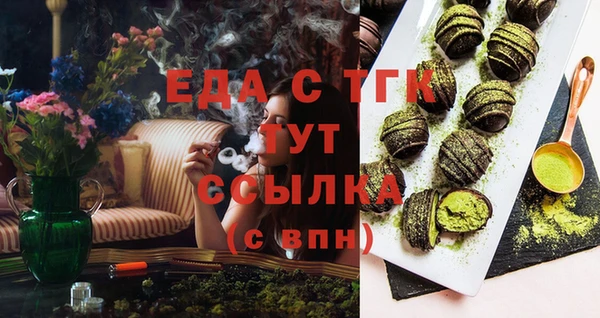 индика Богданович