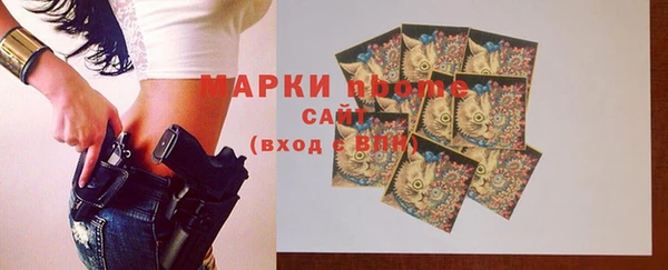 индика Богданович