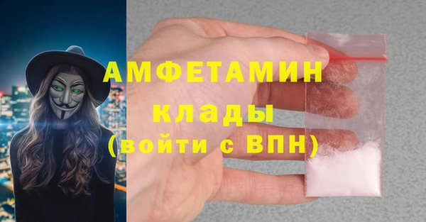 индика Богданович