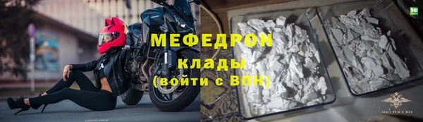индика Богданович