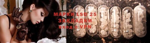 индика Богданович