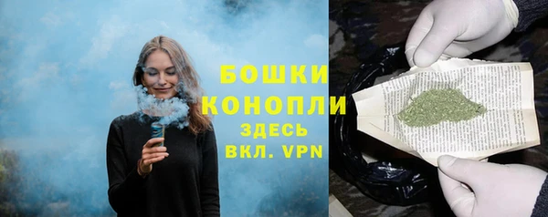 ПСИЛОЦИБИНОВЫЕ ГРИБЫ Богородицк
