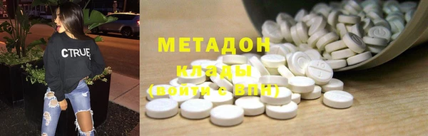 индика Богданович