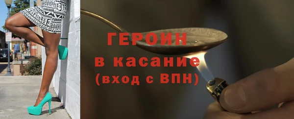 индика Богданович