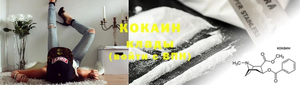 индика Богданович