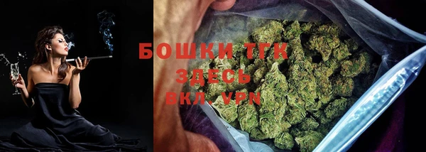 индика Богданович
