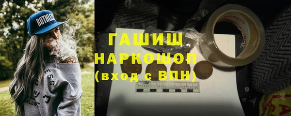 индика Богданович
