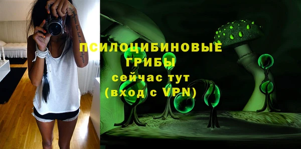 соль курить ск Богородск